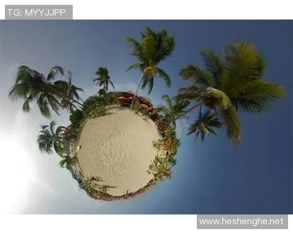 足球360全景分析揭示赛场背后的秘密与精彩瞬间